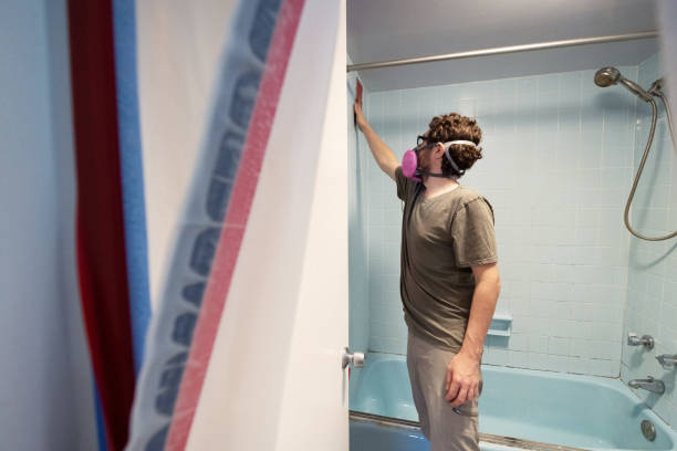 Best Mold Odor Removal Services  in Strasburg, CO